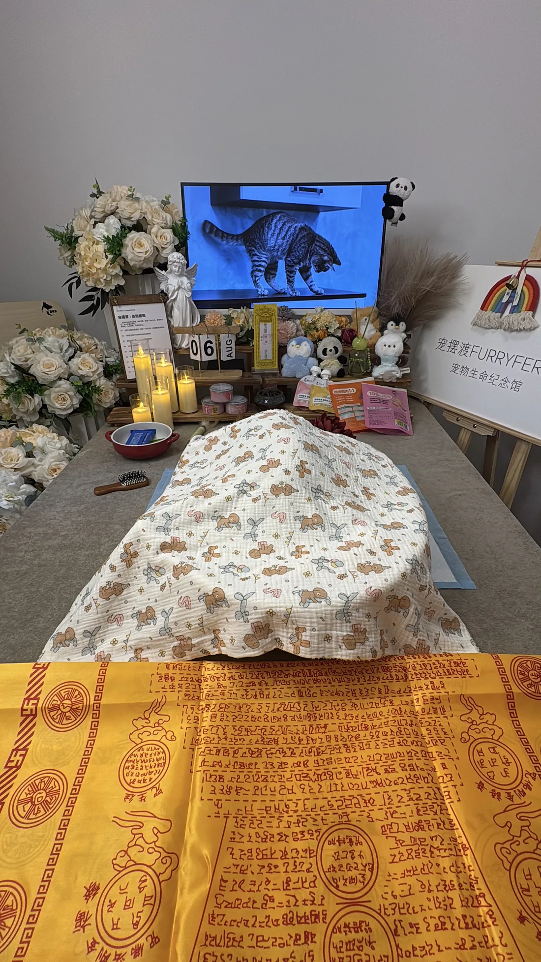 合肥宠物告别仪式中的鲜花与纪念照片